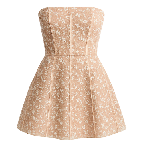 Mini Corset Dress